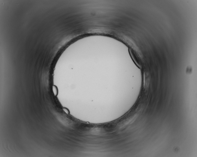 X0000101660204200808071029