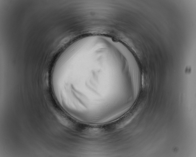 X0000101660205200808071029