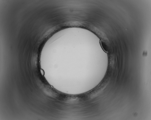 X0000101660206200808071029
