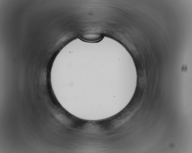 X0000101660207200808071029