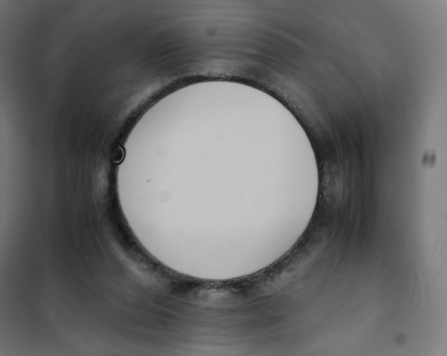 X0000101660208200808071029