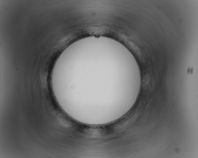 X0000101660209200808071029