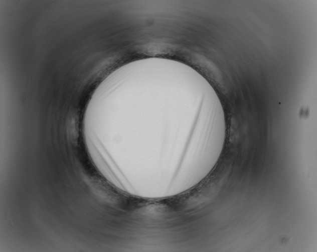 X0000101660210200808071029