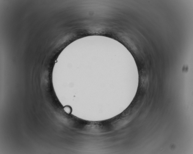 X0000101660211200808071029