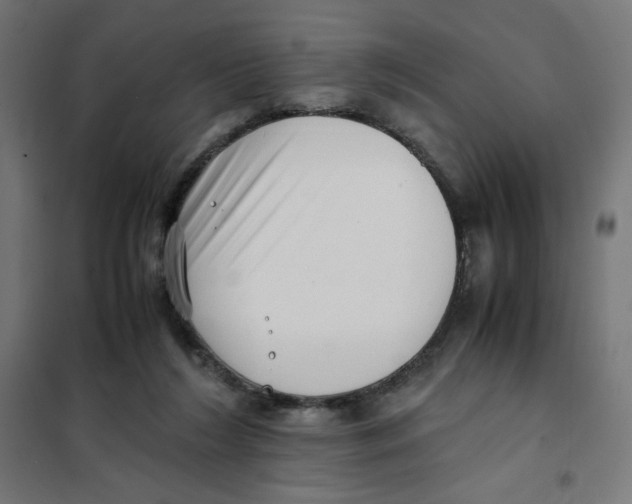 X0000101660212200808071028
