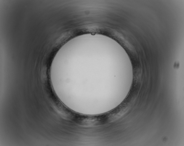 X0000101660213200808071028