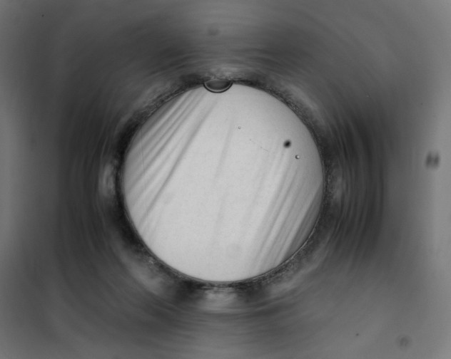 X0000101660214200808071028