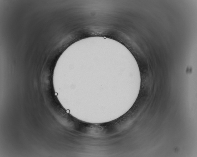 X0000101660215200808071028