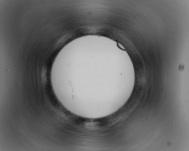 X0000101660216200808071028