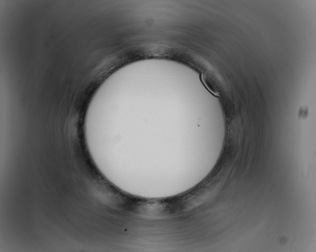 X0000101660217200808071028