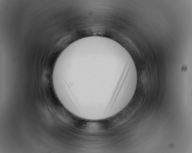 X0000101660218200808071028
