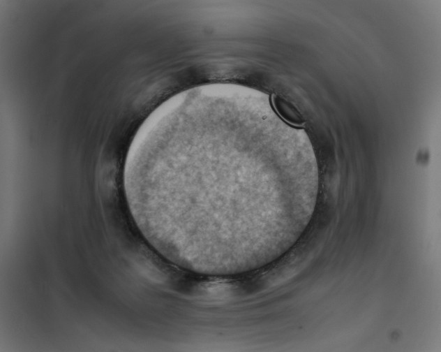 X0000101660219200808071028