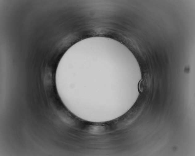 X0000101660220200808071028