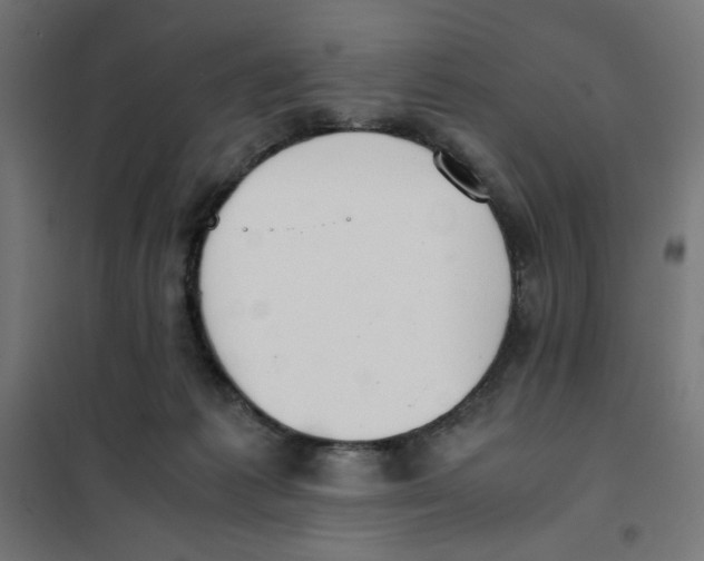 X0000101660221200808071028