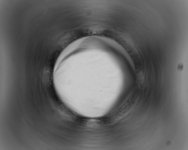 X0000101660222200808071028