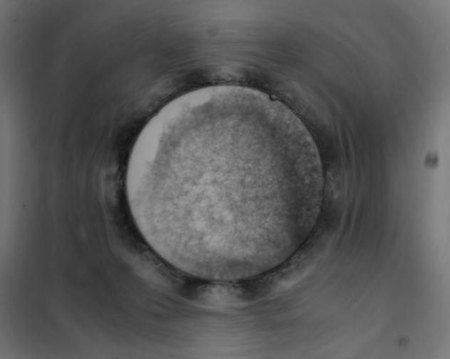 X0000101660223200808071028