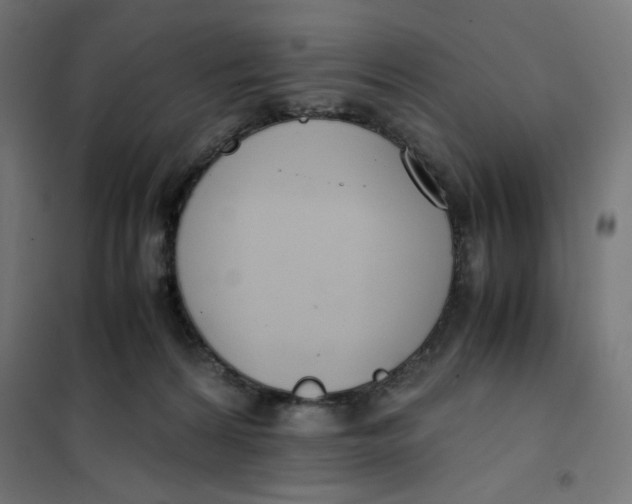 X0000101660224200808071028