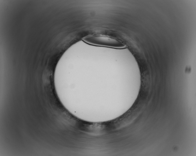 X0000101660225200808071028