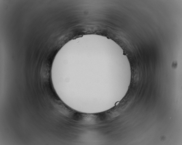 X0000101660226200808071028