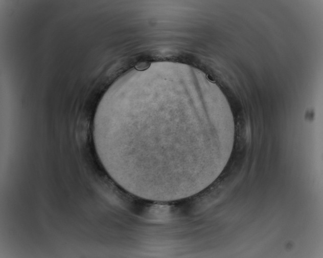 X0000101660227200808071028
