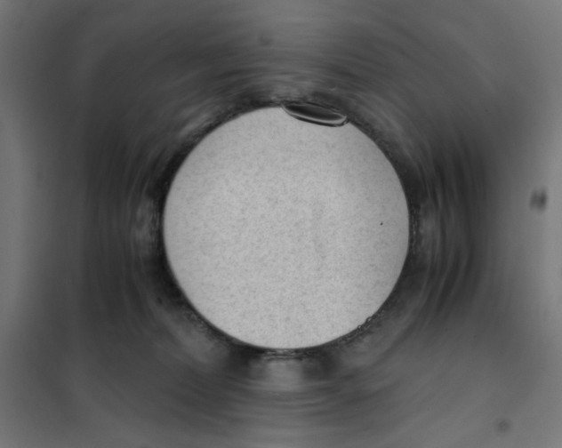 X0000101660228200808071028