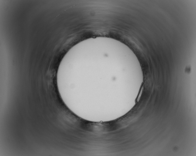 X0000101660229200808071028