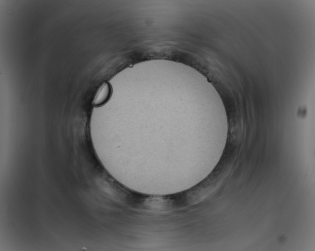 X0000101660231200808071028