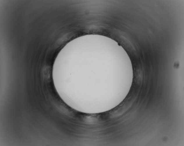 X0000101660232200808071028