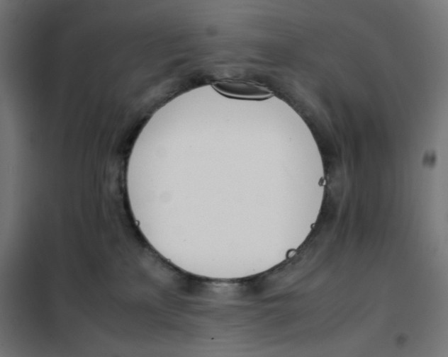 X0000101660233200808071028