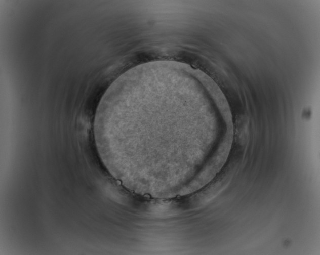 X0000101660235200808071028