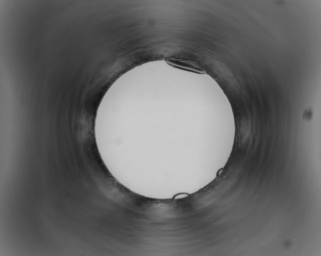 X0000101660236200808071028