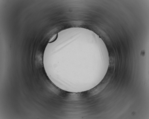 X0000101660238200808071028