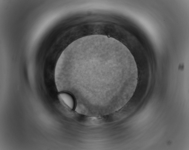 X0000101660239200808071028