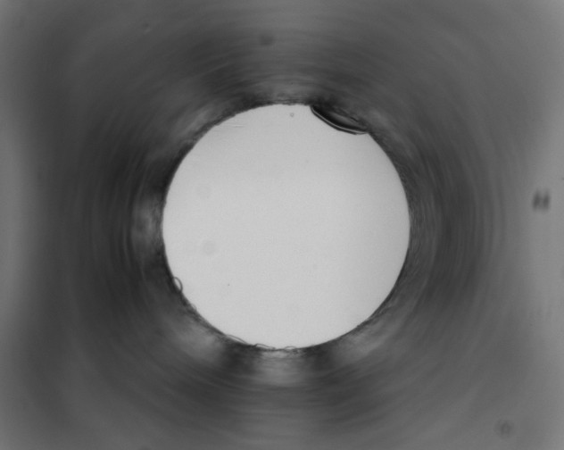 X0000101660240200808071028