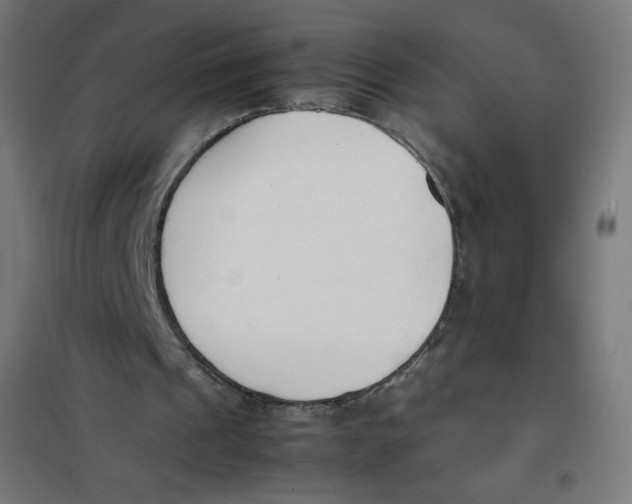X0000101660241200808071027