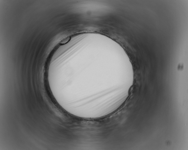 X0000101660242200808071027