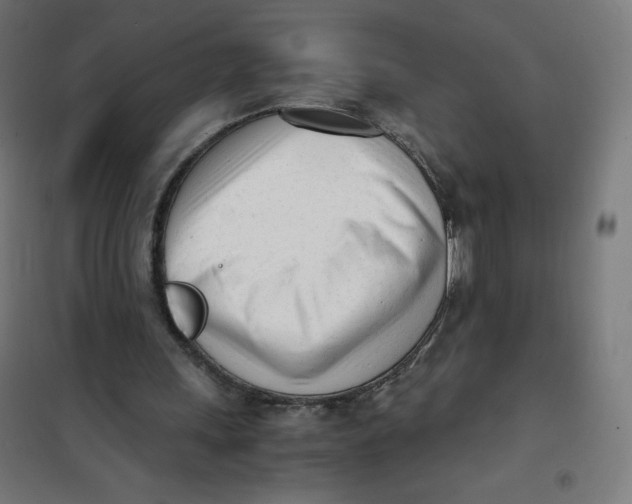 X0000101660243200808071027