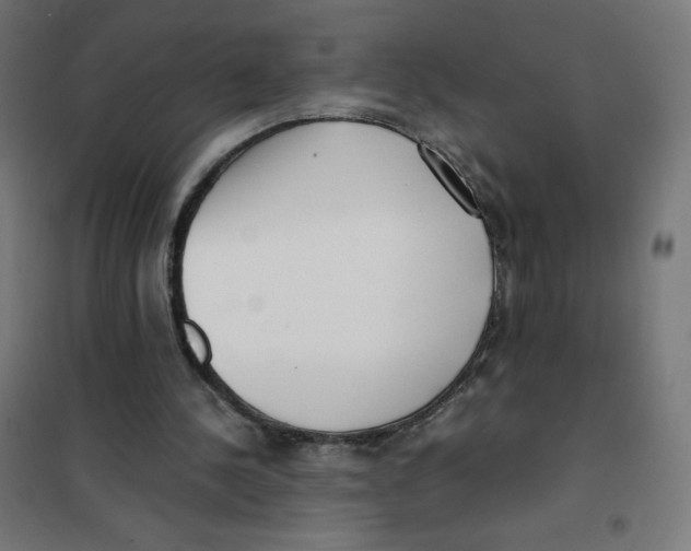 X0000101660244200808071027