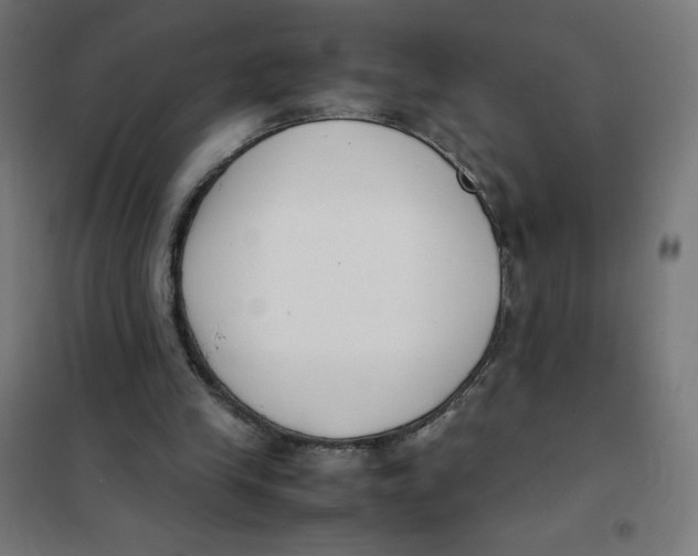 X0000101660245200808071027
