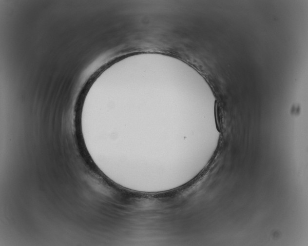 X0000101660246200808071028