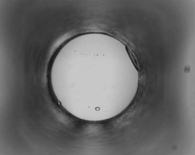 X0000101660248200808071028