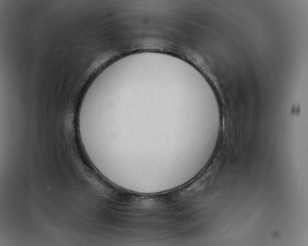 X0000101660249200808071028