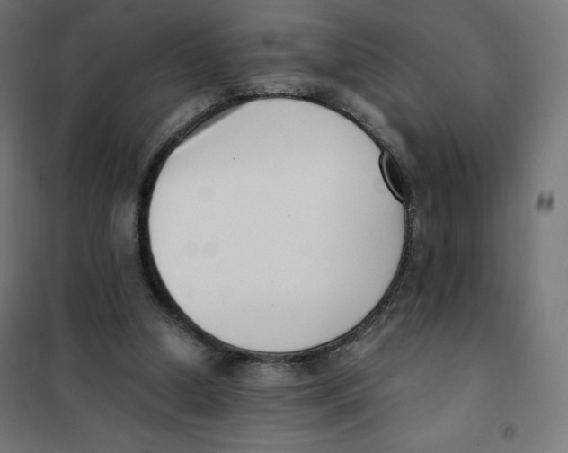 X0000101660250200808071028