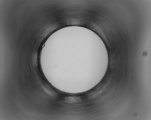 X0000101660251200808071028
