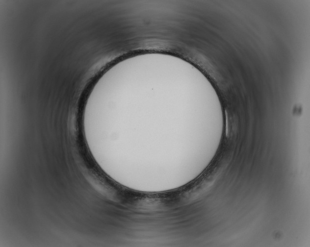 X0000101660252200808071028