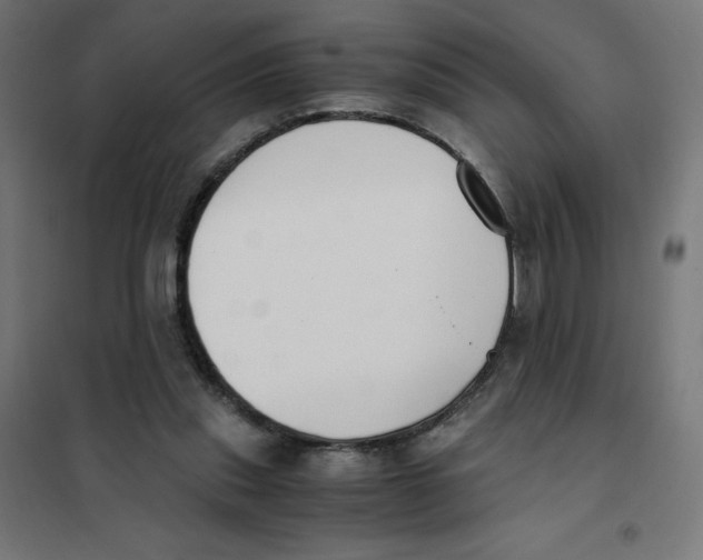X0000101660253200808071028