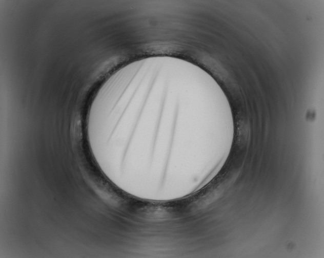 X0000101660254200808071028