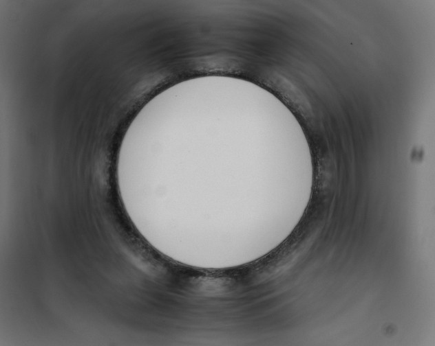 X0000101660255200808071028