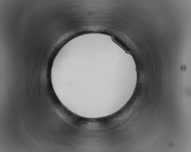 X0000101660256200808071028