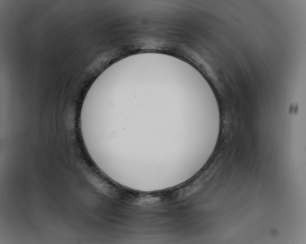 X0000101660257200808071028